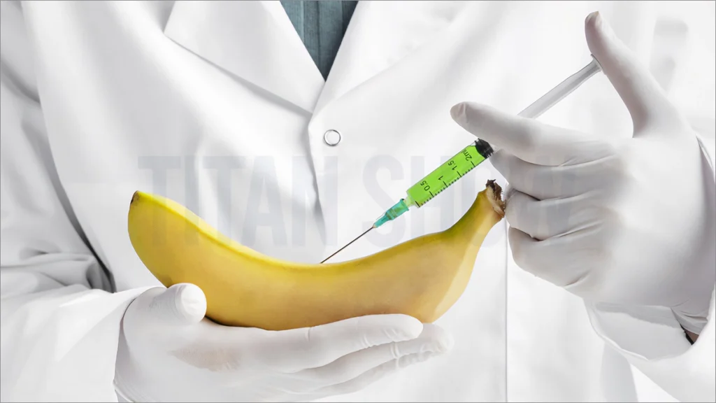 فيلر القضيب في تركيا